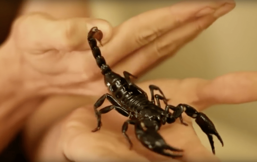 Screen Shot 2016-08-07 at 1.48.20 PM